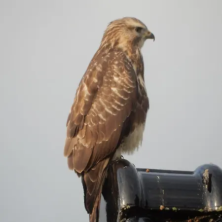 Unesco De Beemster, Vakantiewoning *