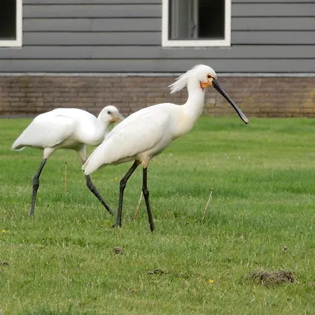 Unesco De Beemster, Vakantiewoning Сasa de vacaciones