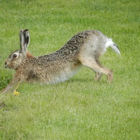 Unesco De Beemster, Vakantiewoning Сasa de vacaciones