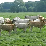 Unesco De Beemster, Vakantiewoning Casa de Férias Noordbeemster
