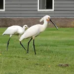 Unesco De Beemster, Vakantiewoning Casa de Férias