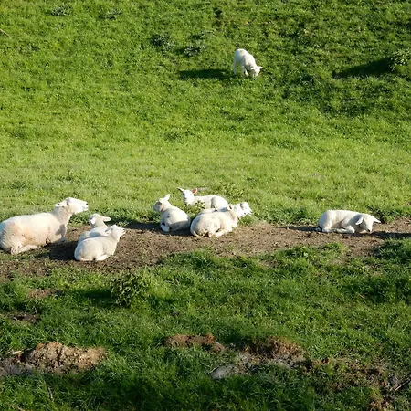Unesco De Beemster, Vakantiewoning Noordbeemster