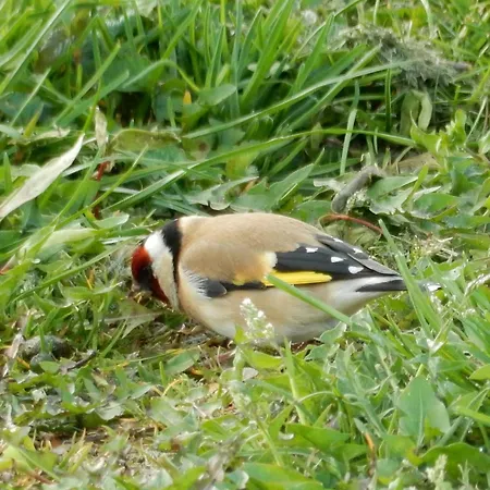 Unesco De Beemster, Vakantiewoning *