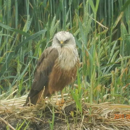 Дом отдыха Unesco De Beemster, Vakantiewoning *