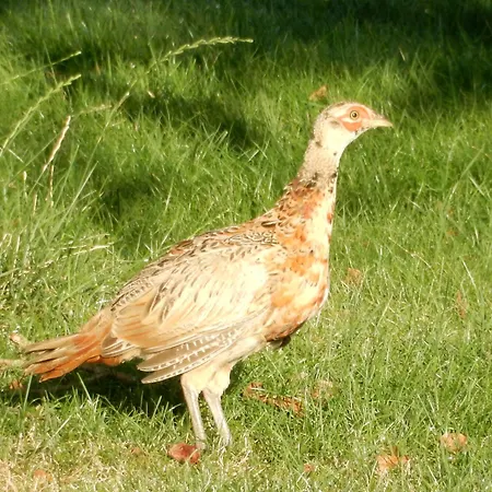 Дом отдыха Unesco De Beemster, Vakantiewoning *