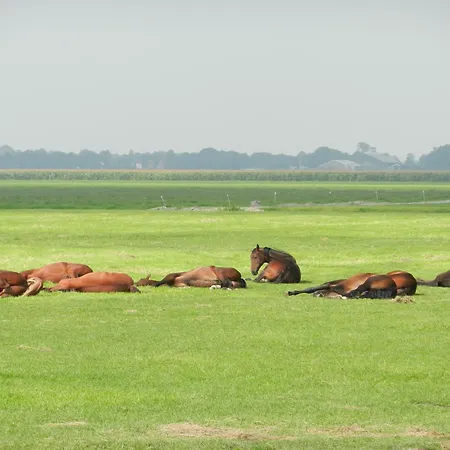 Unesco De Beemster, Vakantiewoning Дом отдыха Noordbeemster