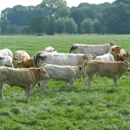 Unesco De Beemster, Vakantiewoning Prázdninový dům Noordbeemster