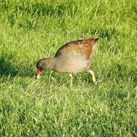Дом отдыха Unesco De Beemster, Vakantiewoning Noordbeemster