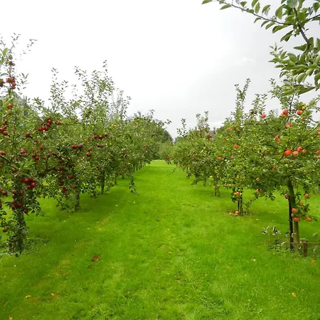 Дом отдыха Unesco De Beemster, Vakantiewoning Noordbeemster